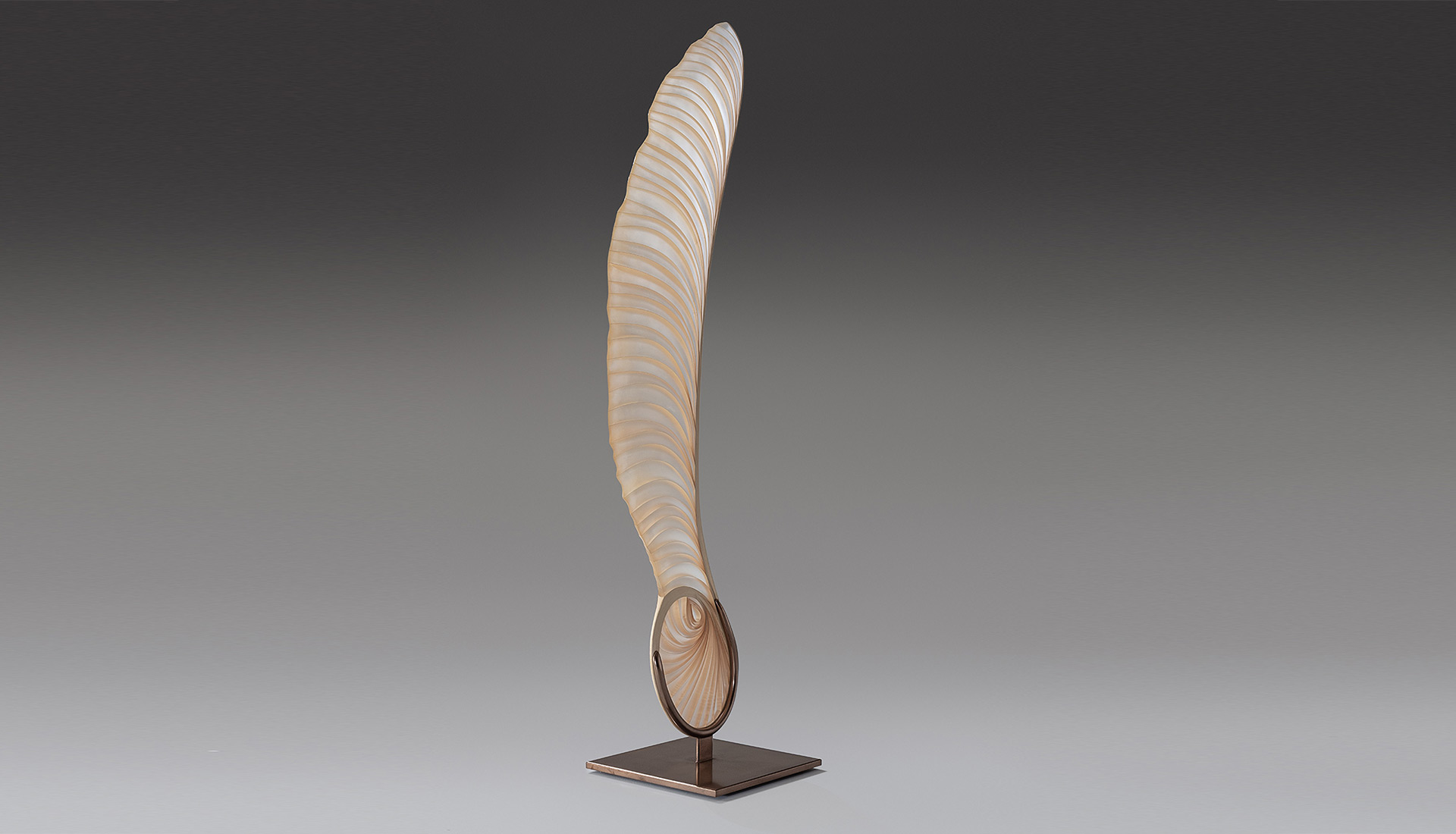 Marc Fish Ethereal Sycamore Seed